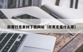 弥勒寂寞行走素材下载网站（寂寞走是什么歌）